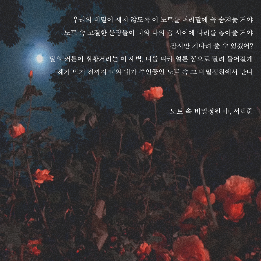 206노트 속 비밀정원.png
