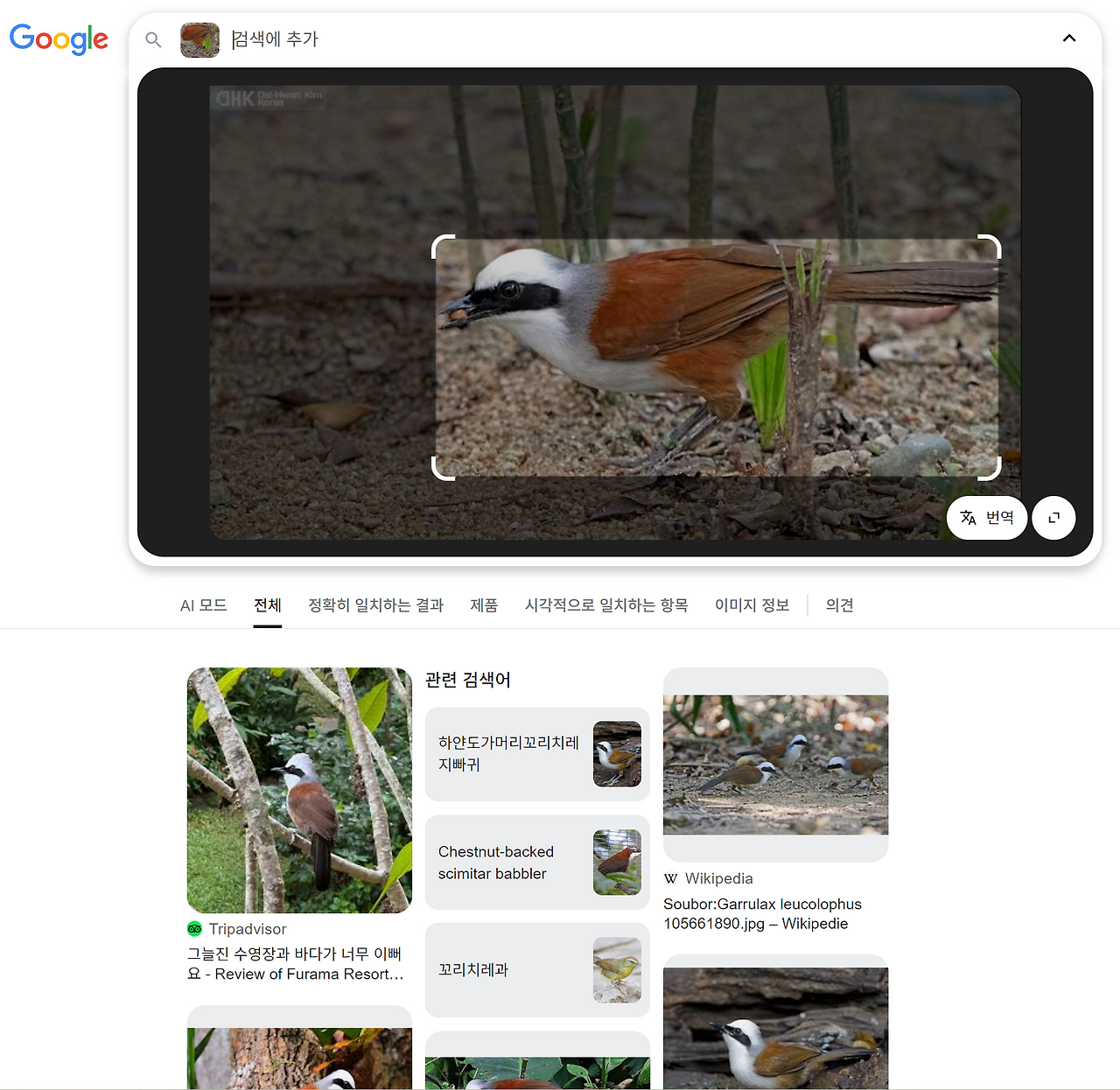 스크린샷 2025-10-09 105833.png