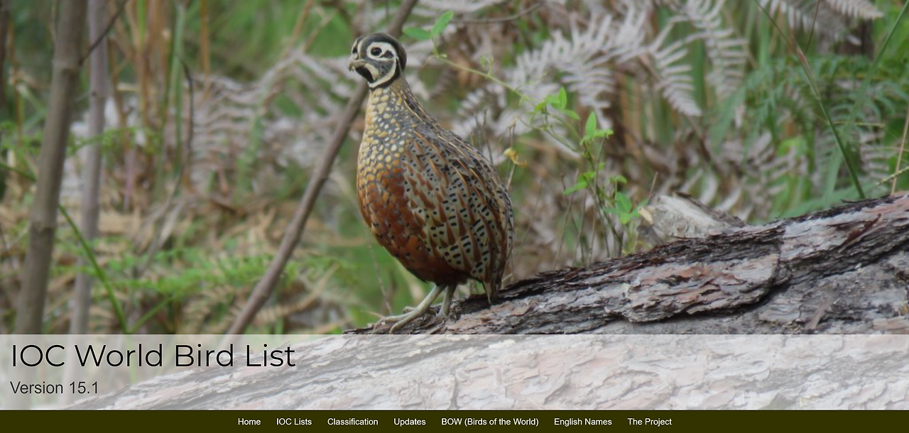 스크린샷 2026-01-06 231933.png