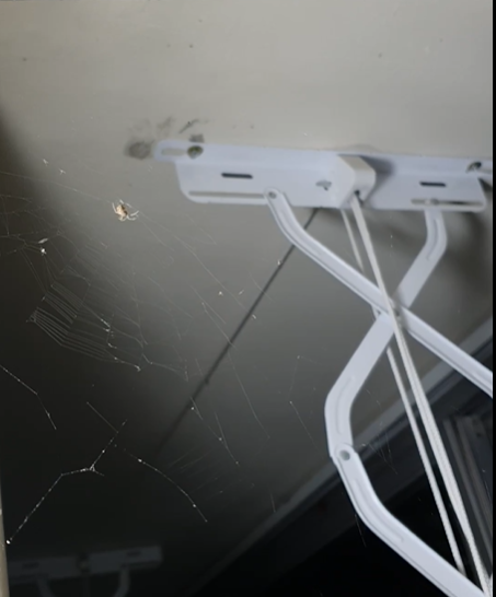 스크린샷 2024-02-11 221939.png