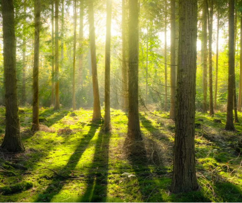 스크린샷 2022-06-06 오후 4.08.10.png