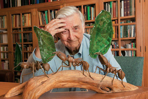 스크린샷 2022-06-06 오후 4.00.23.png