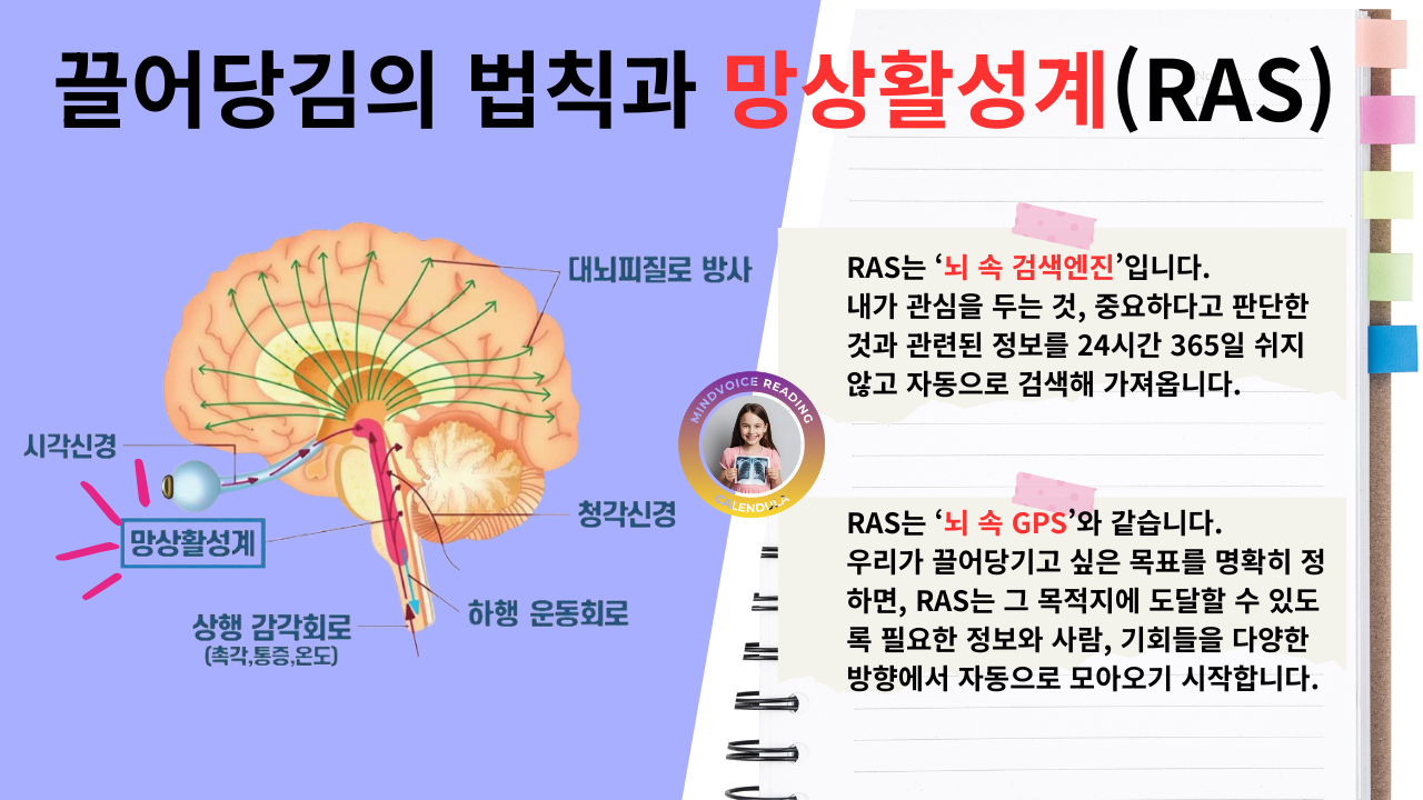 제목 추가 (5).png