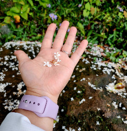 스크린샷 2025-11-30 073652.png