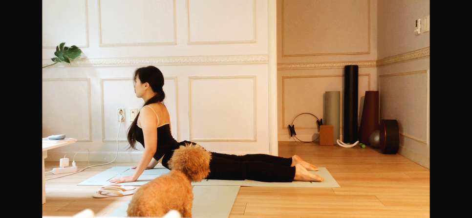 브런치에 올릴 사진.png