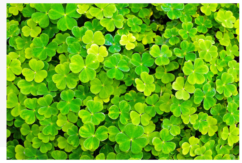 제목 없는 디자인 (25).png