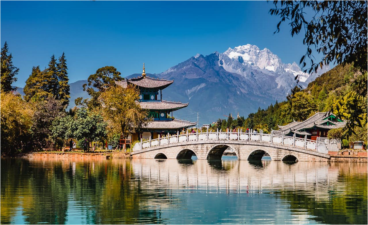 스크린샷 2025-10-09 155207.png