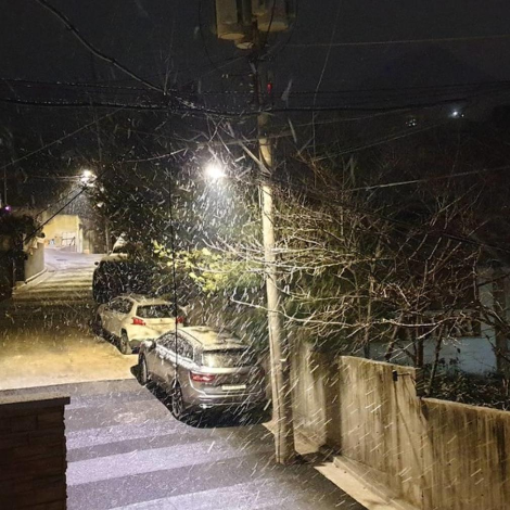 함박눈.png
