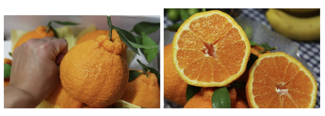 스크린샷 2025-08-05 오전 11.15.22.png