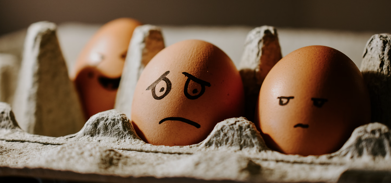 스크린샷 2024-07-10 오전 8.37.42.png