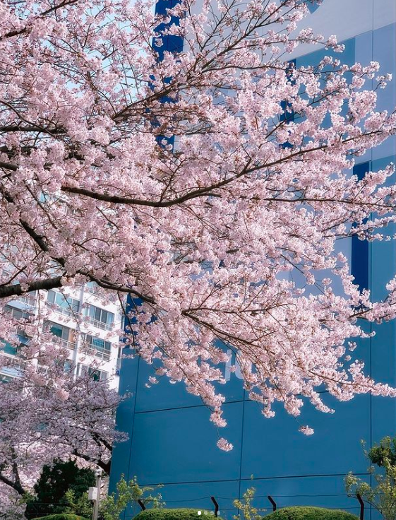 스크린샷 2022-06-02 오후 4.12.46.png