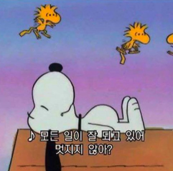 스크린샷 2024-11-24 오전 11.17.41.png