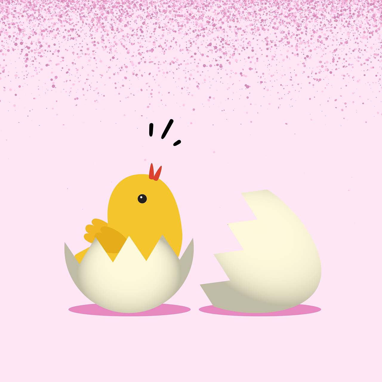 chick-7780328_1280.png