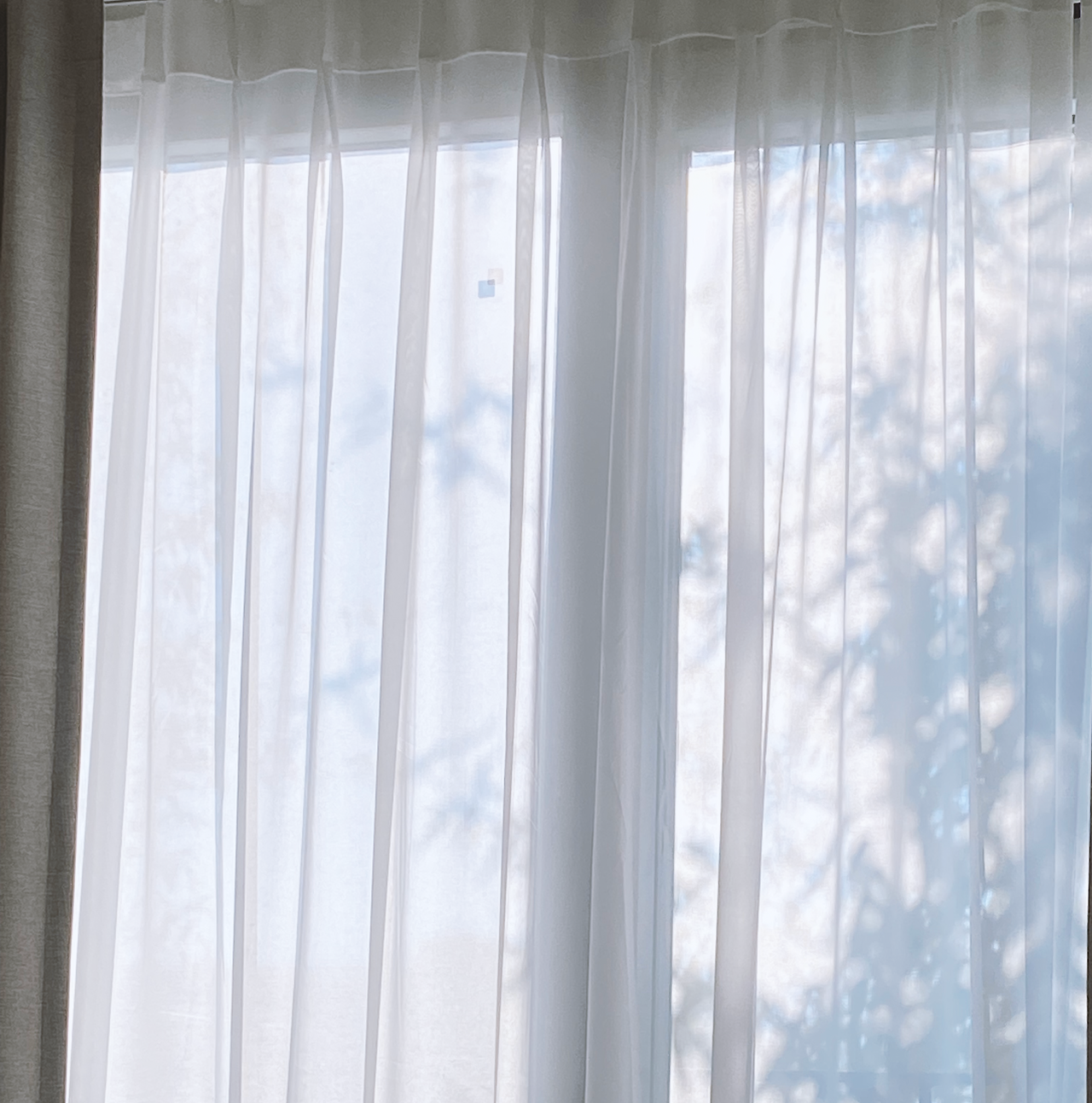 더 다온_5.png