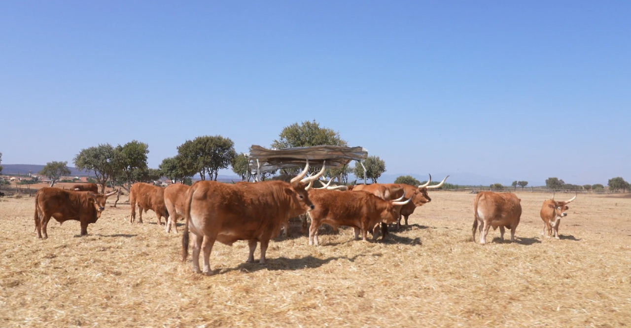 스크린샷 2025-10-16 오후 9.31.18.png