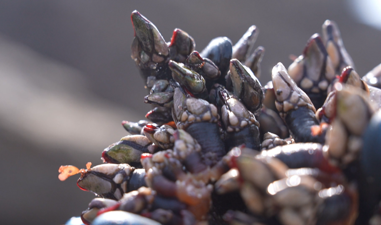 스크린샷 2025-11-06 오후 9.07.13.png