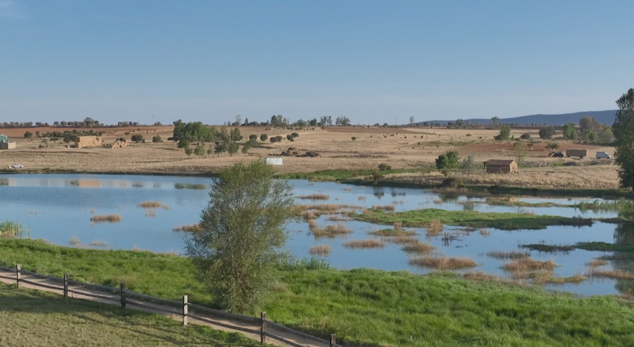 스크린샷 2025-10-16 오후 9.41.09.png