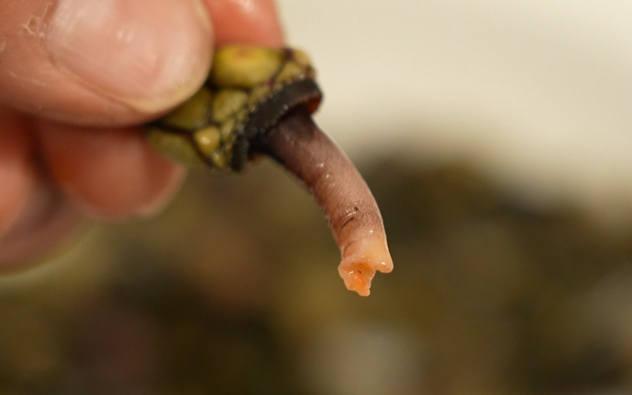 스크린샷 2025-11-06 오후 9.07.33.png