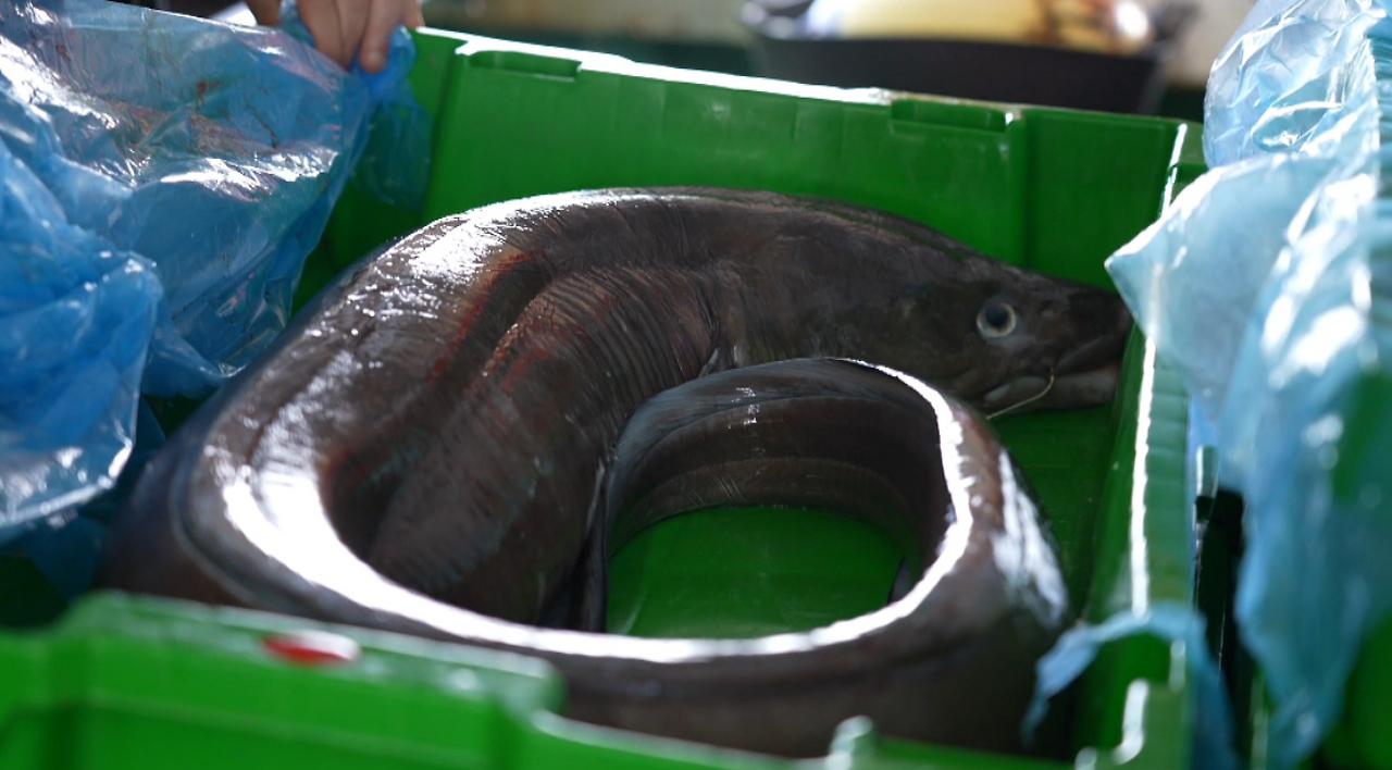 스크린샷 2025-11-06 오후 9.02.33.png