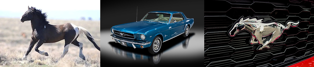 머스탱.png