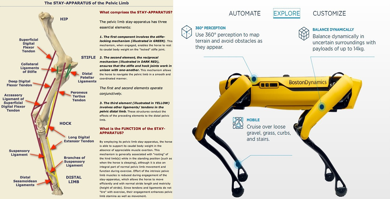 Clipboard - 2026-01-12 00.07.20.png