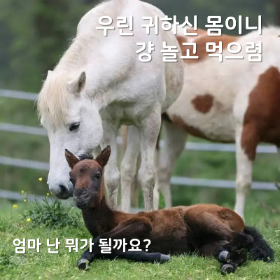 Clipboard - 2026-01-13 00.27.01.png