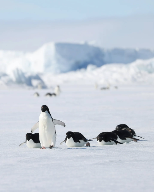 Clipboard - 2025-10-01 22.57.41.png