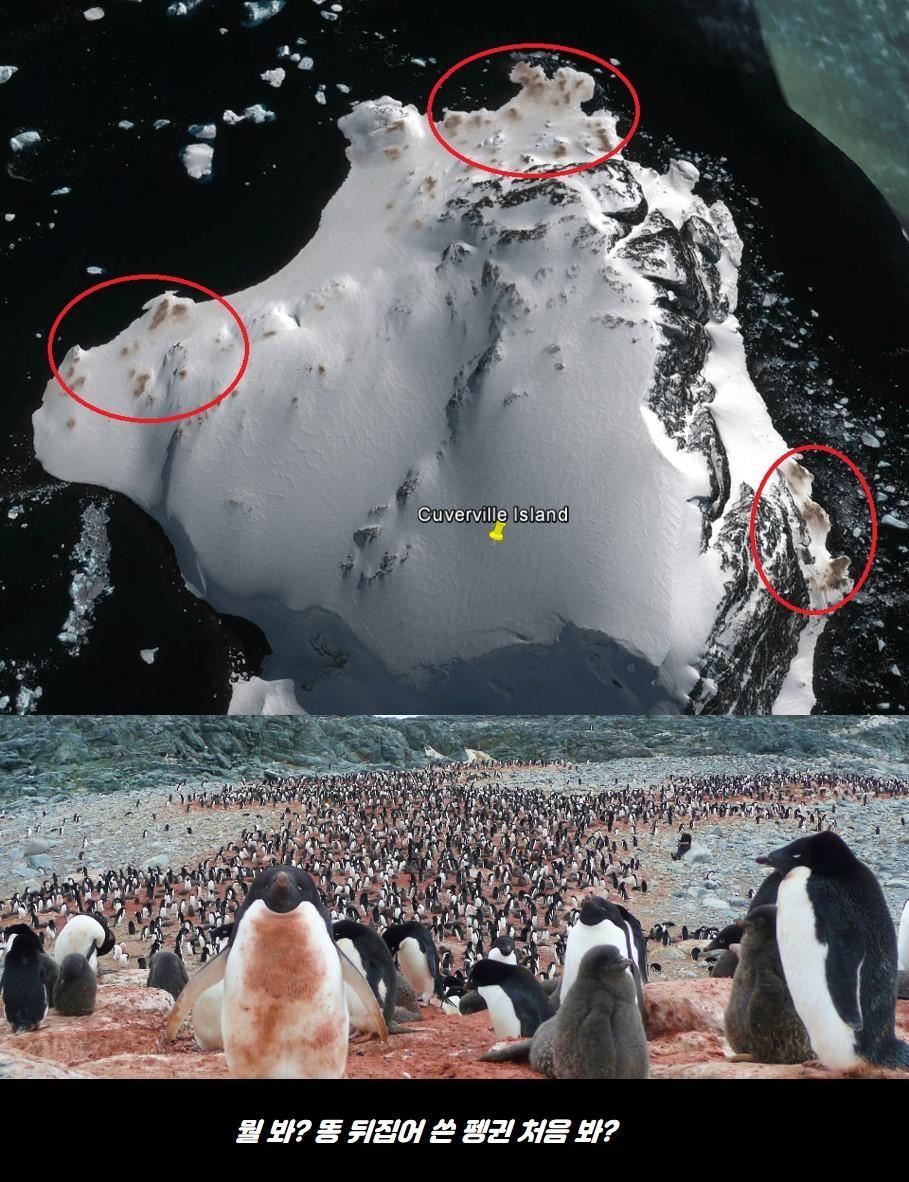 Clipboard - 2025-10-01 21.57.35.png