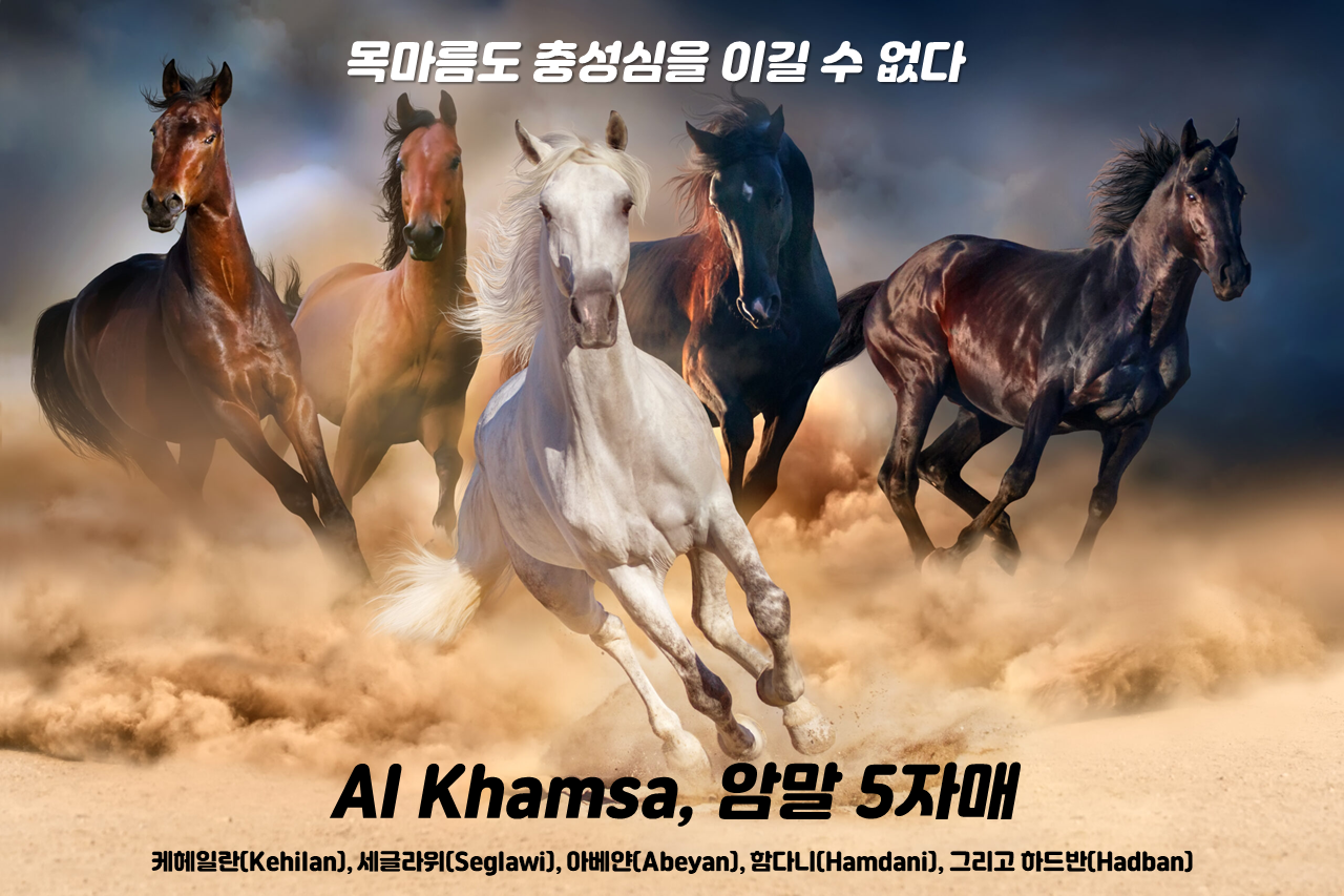 Clipboard - 2026-01-18 16.42.04.png