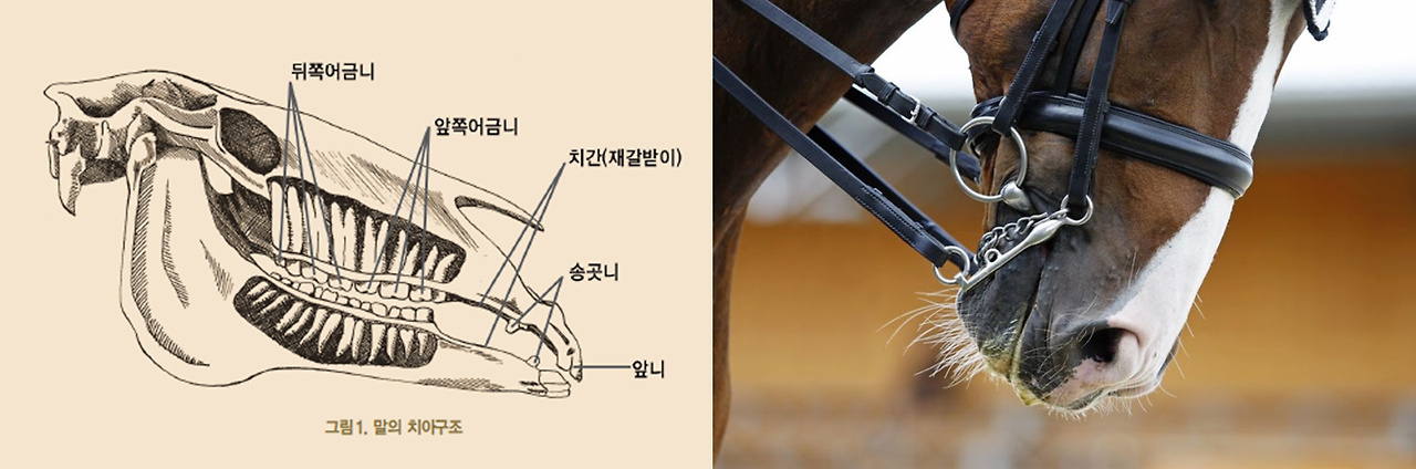 Clipboard - 2026-01-12 00.26.18.png