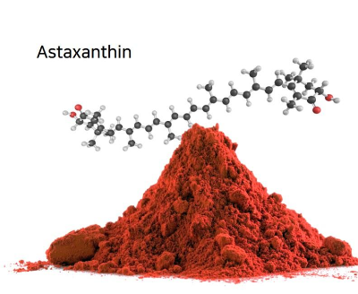 Clipboard - 2025-10-01 21.58.58.png