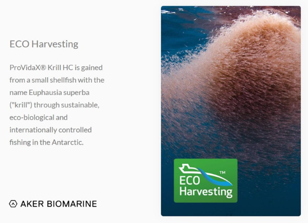 Clipboard - 2025-10-01 22.03.43.png