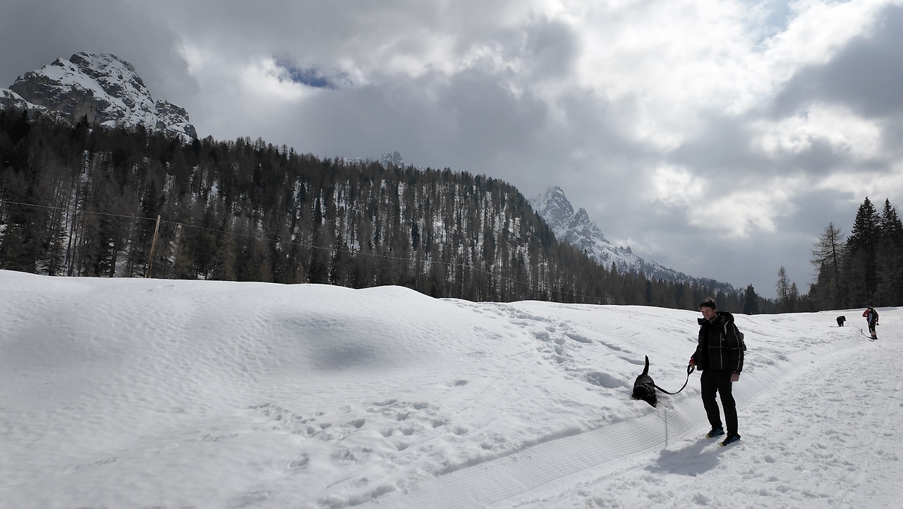 스크린샷 2024-04-27 오후 5.17.33.png