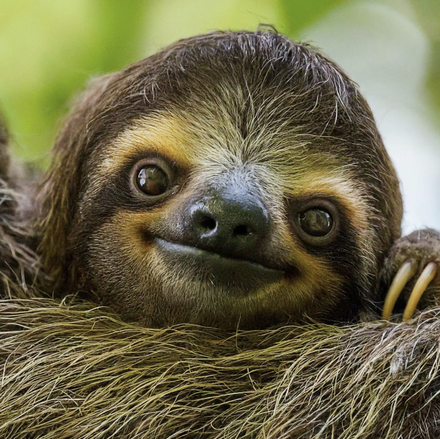 스크린샷 2025-12-27 오전 2.48.45.png