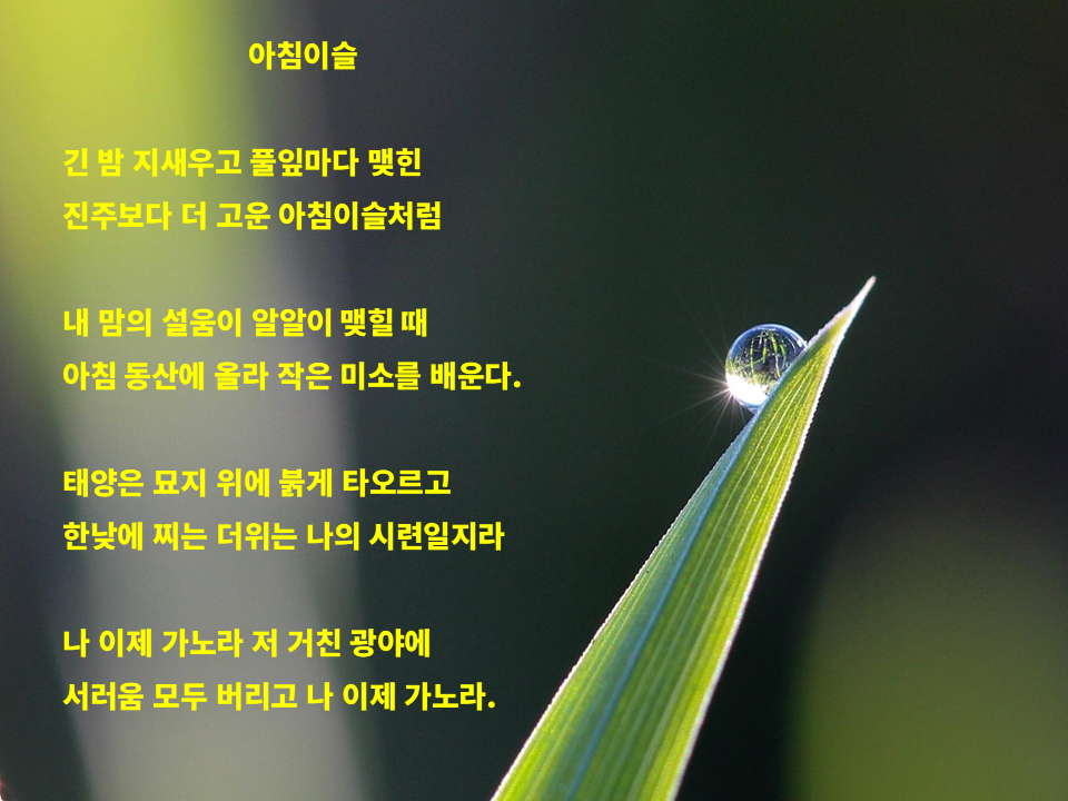 아침이슬 - 김민기.png