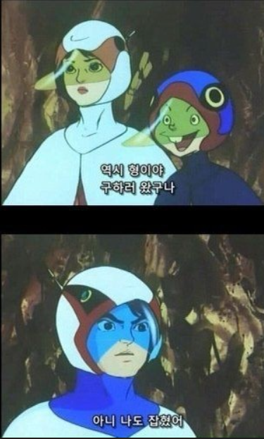 화면 캡처 2024-07-20 155909.png