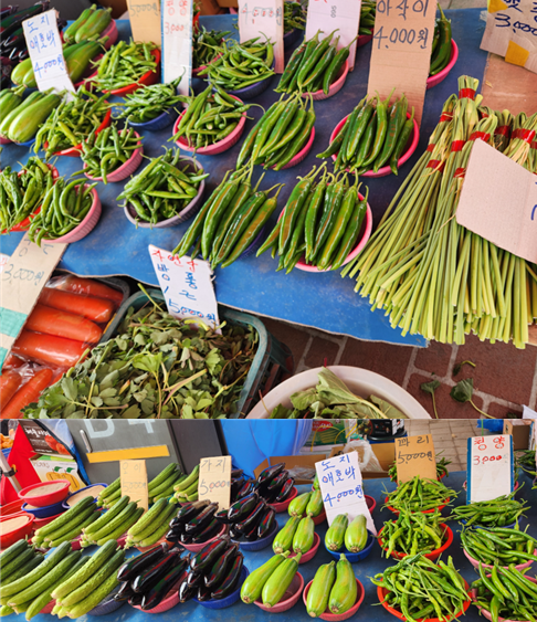 화면 캡처 2025-04-20 091540.png