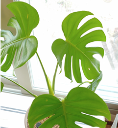 화면 캡처 2024-07-20 150804.png