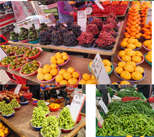 화면 캡처 2025-04-20 092107.png