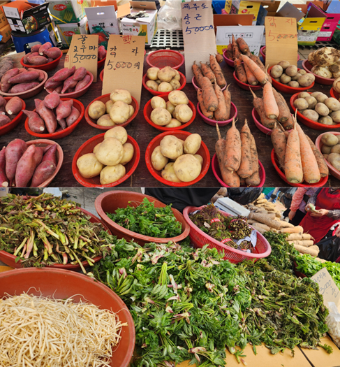 화면 캡처 2025-04-20 090500.png