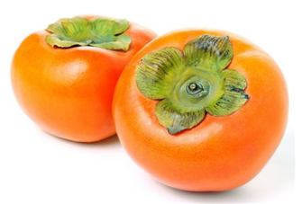 화면 캡처 2024-09-27 181624.png