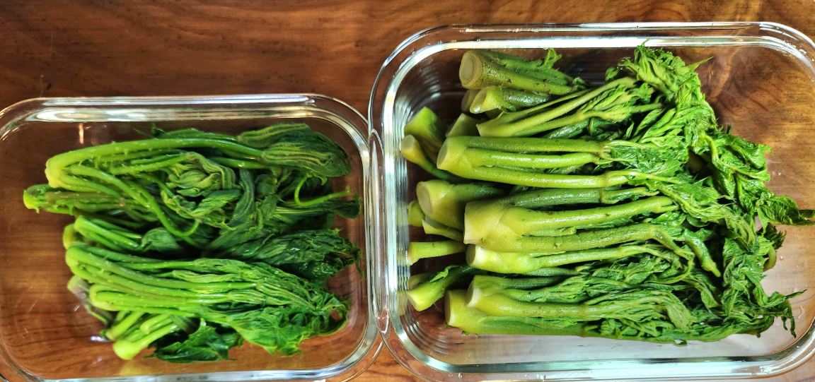 화면 캡처 2025-04-20 081723.png