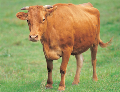 화면 캡처 2025-07-16 060858.png