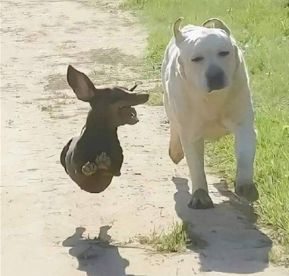 화면 캡처 2024-09-20 102550.png