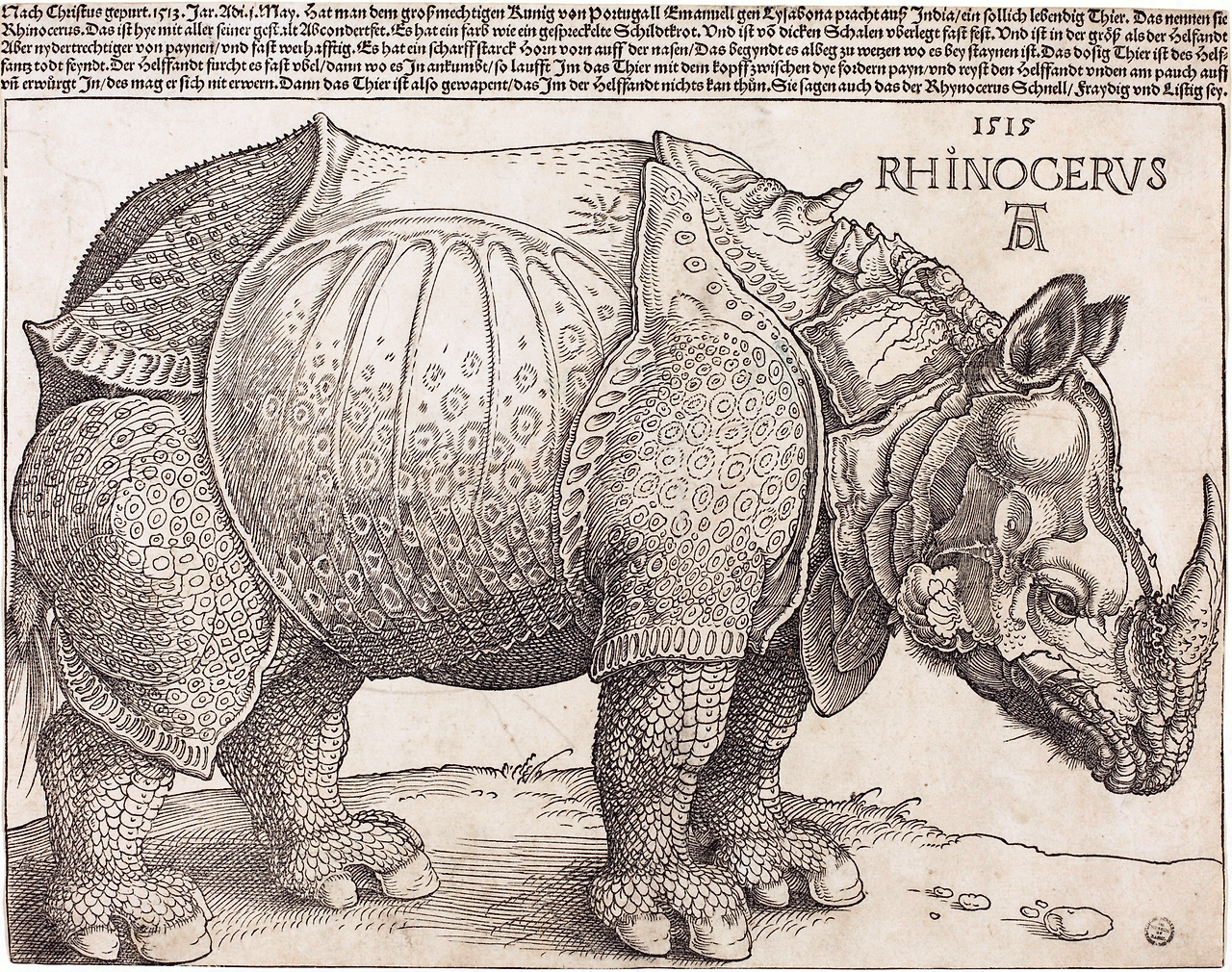 Durers-Rhinoceros-2048x1617.png