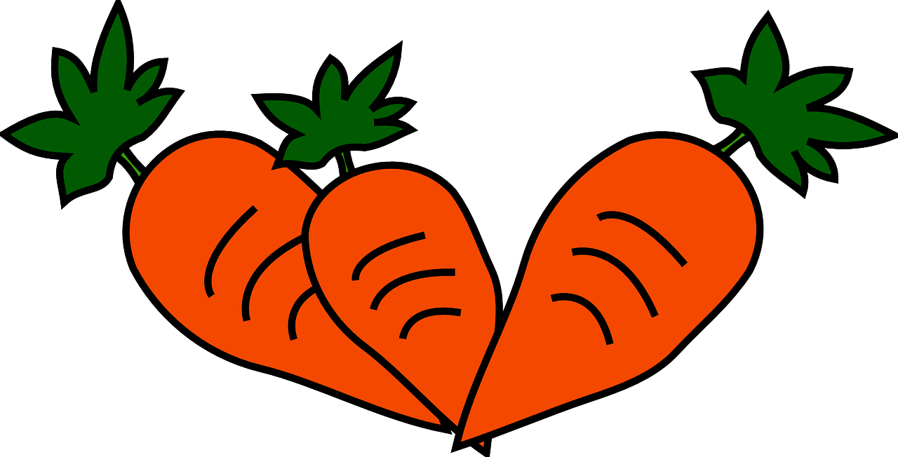 carrot-156853_1280.png