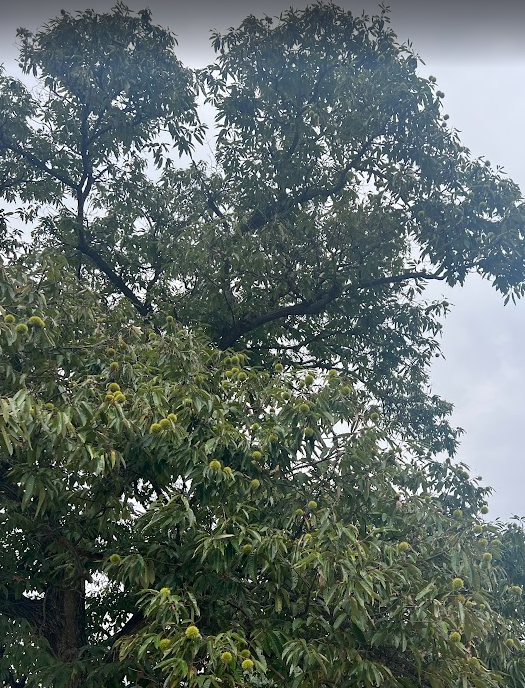 스크린샷 2025-08-19 003001.png