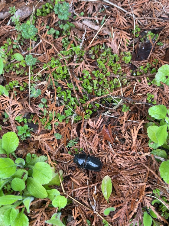 스크린샷 2025-08-15 194713.png