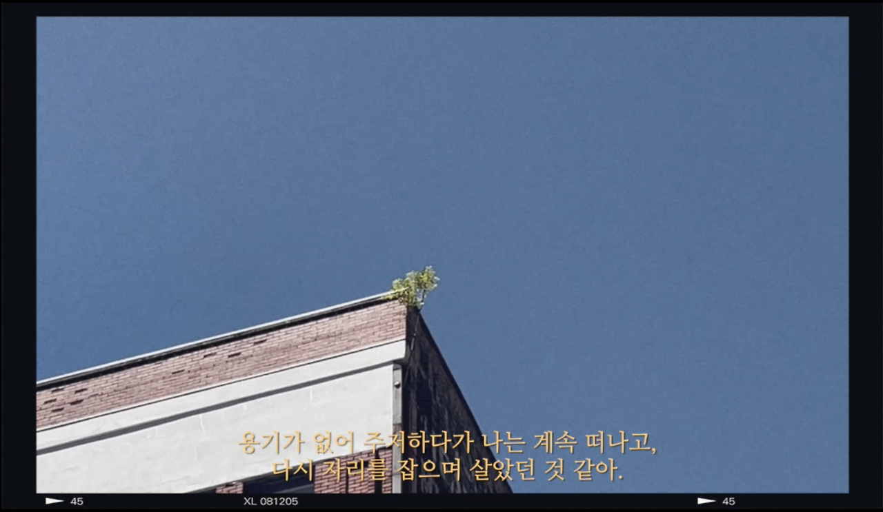 Screenshot 2025-02-13 at 12.43.20 AM.png