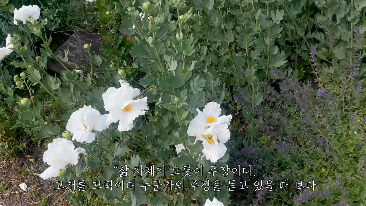 Screenshot 2025-01-23 at 11.28.16 PM.png